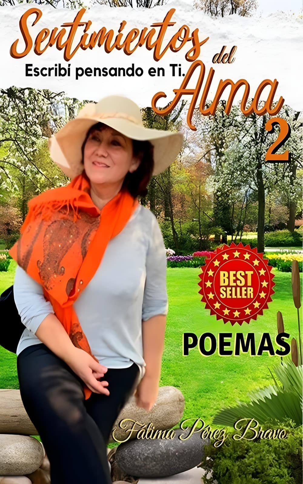 Portada de Sentimientos del Alma 2